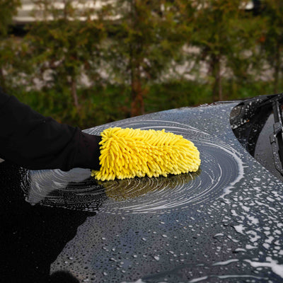 Car Wash Glove